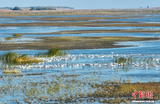 10��16��������ĪĪ����Ҽ���Ȼ���o�^(q��)��(n��i)�������ڑ�ˮ��(�o�˙C��Ƭ)�w��� �z