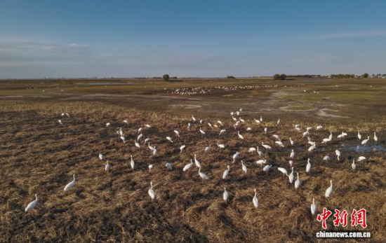 10��16�գ��ڼ���ĪĪ����Ҽ���Ȼ���o�^(q��)��(n��i)���Q����Ϣ��(�o�˙C��Ƭ)�w��� �z