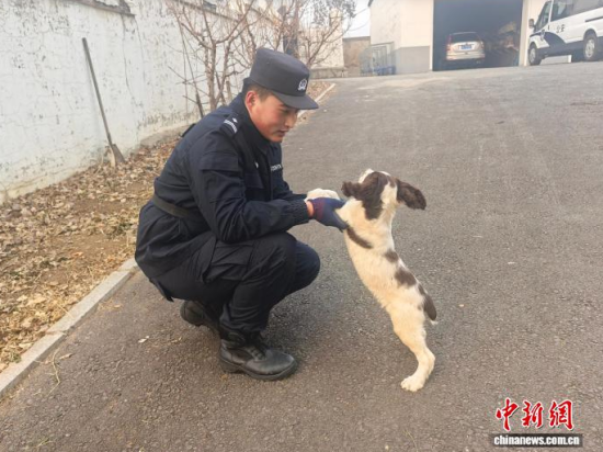 ���Ҳ������c�[�����B(y��ng)�H�ܶȡ���ʯ���� �z